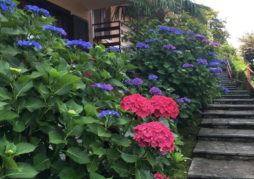 Photo of Outdoor in Castello