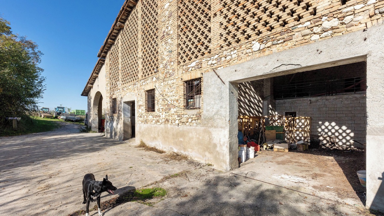 Photo of Outdoor in Campagnolo