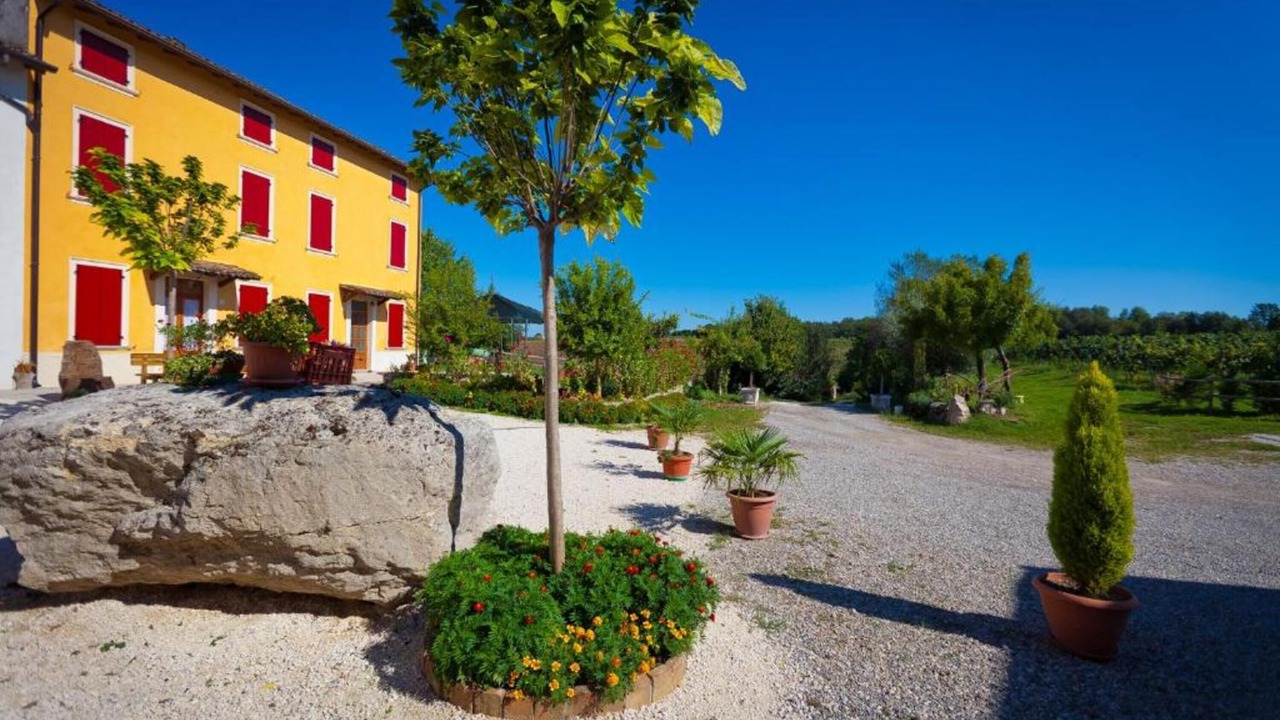 Photo of Outdoor in Campagnolo