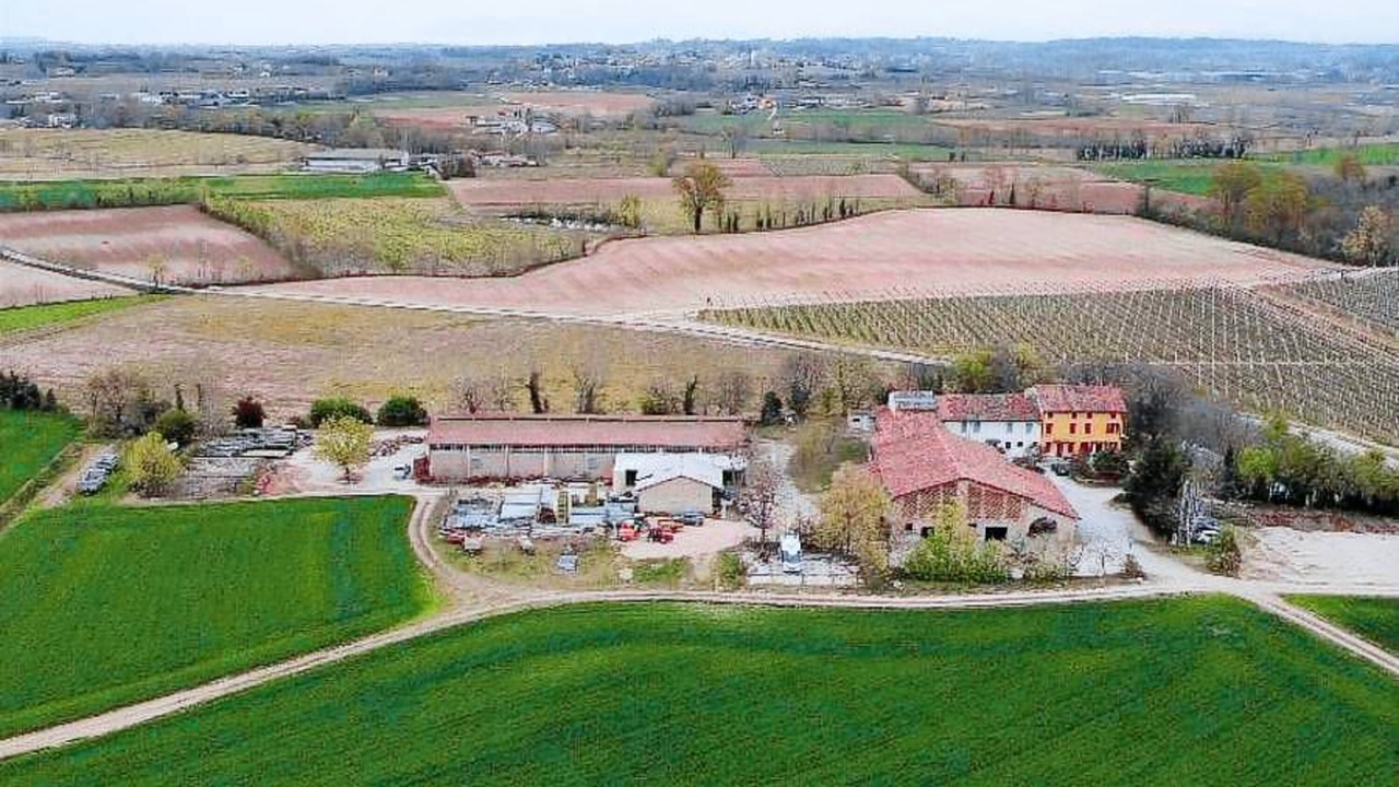 Photo of Outdoor in Campagnolo