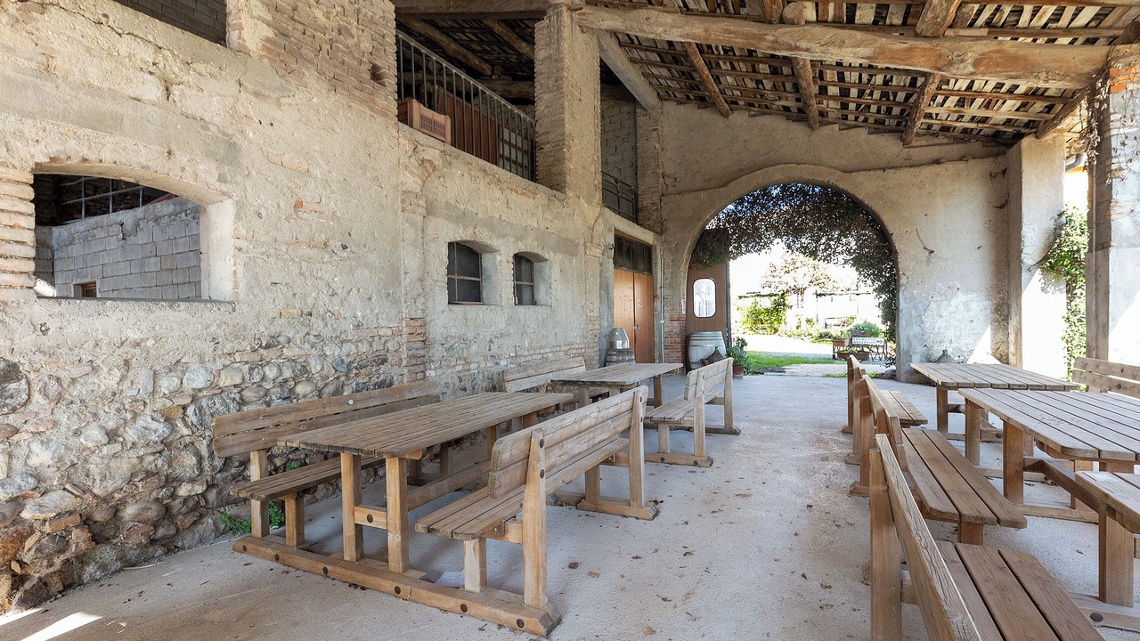 Photo of Outdoor in Campagnolo