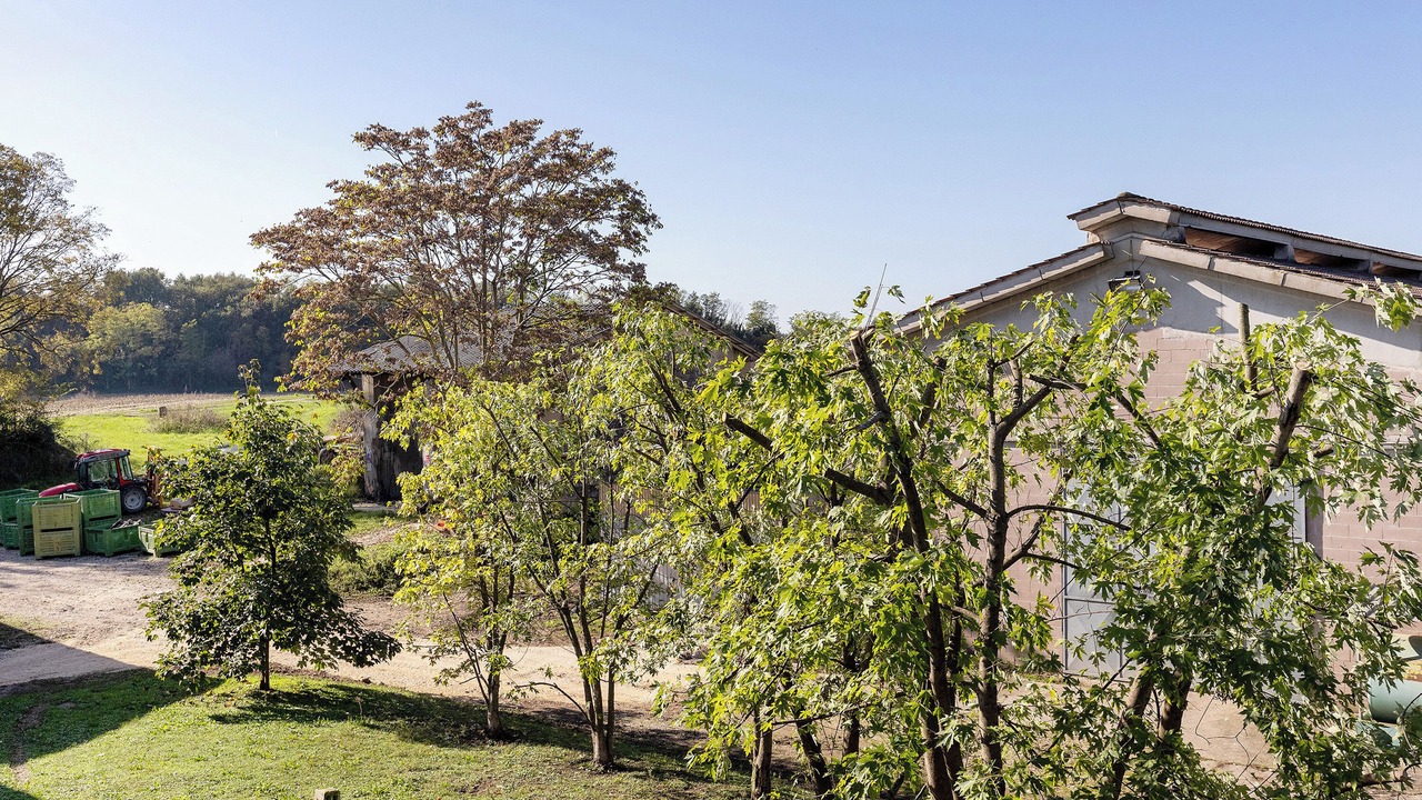 Photo of Outdoor in Campagnolo