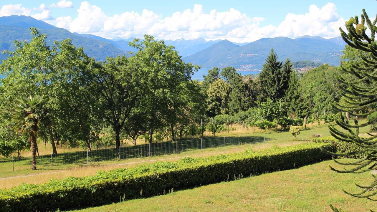 Photo of Others in Castello
