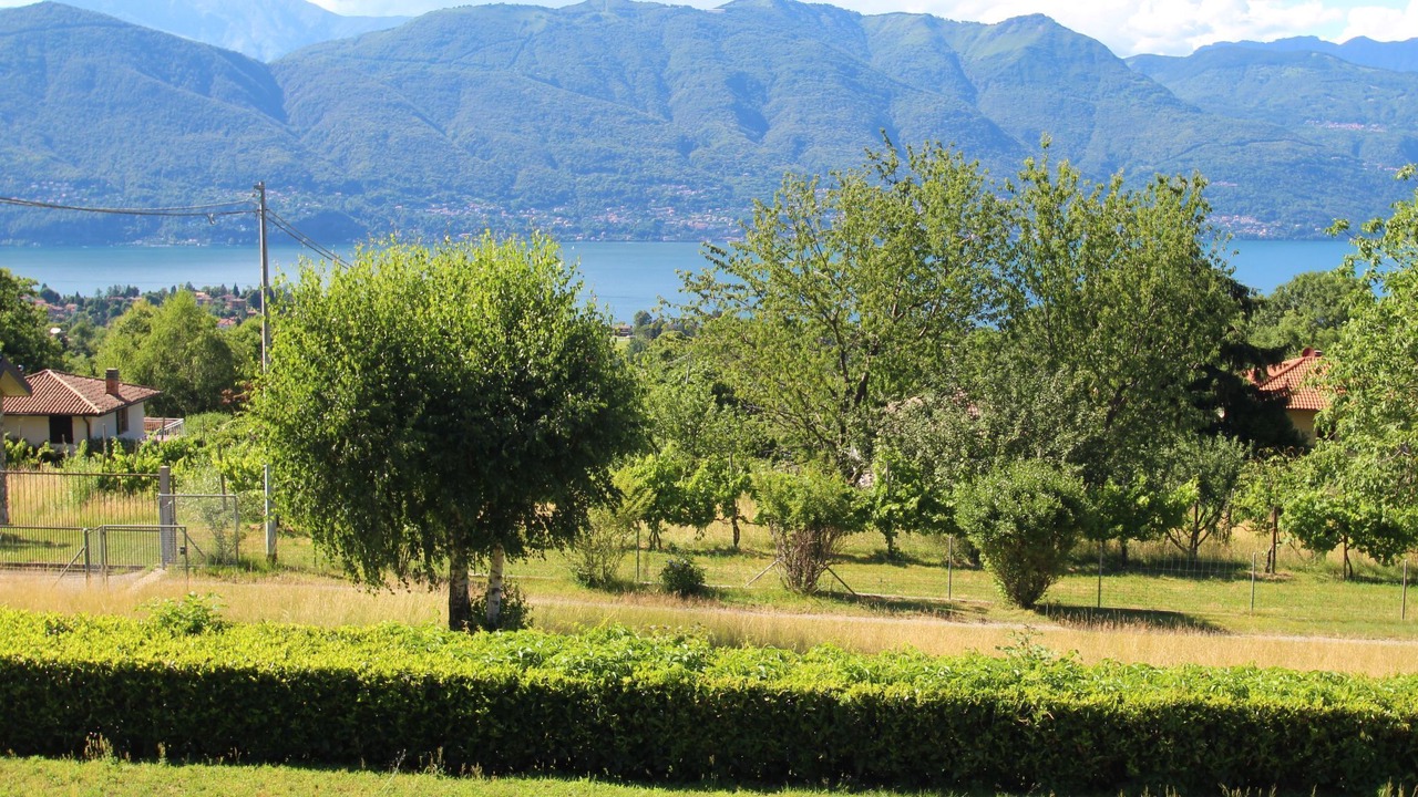 Photo of Others in Castello