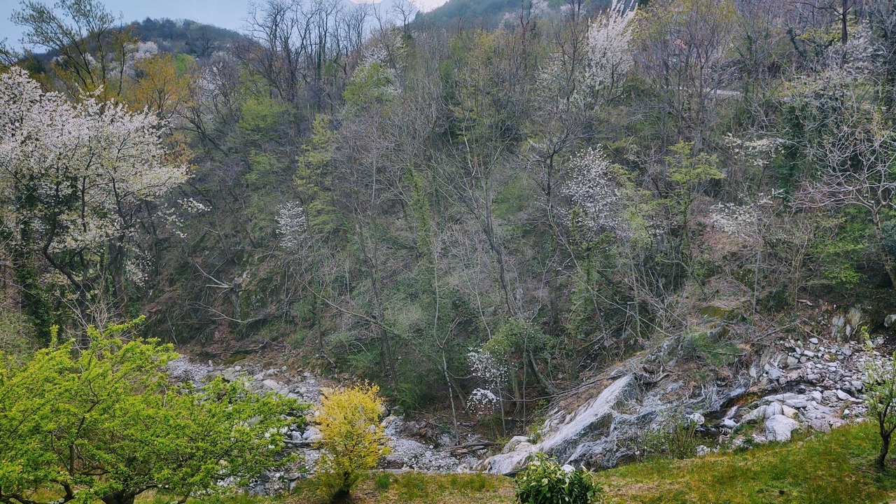 Photo of Others in Albonico