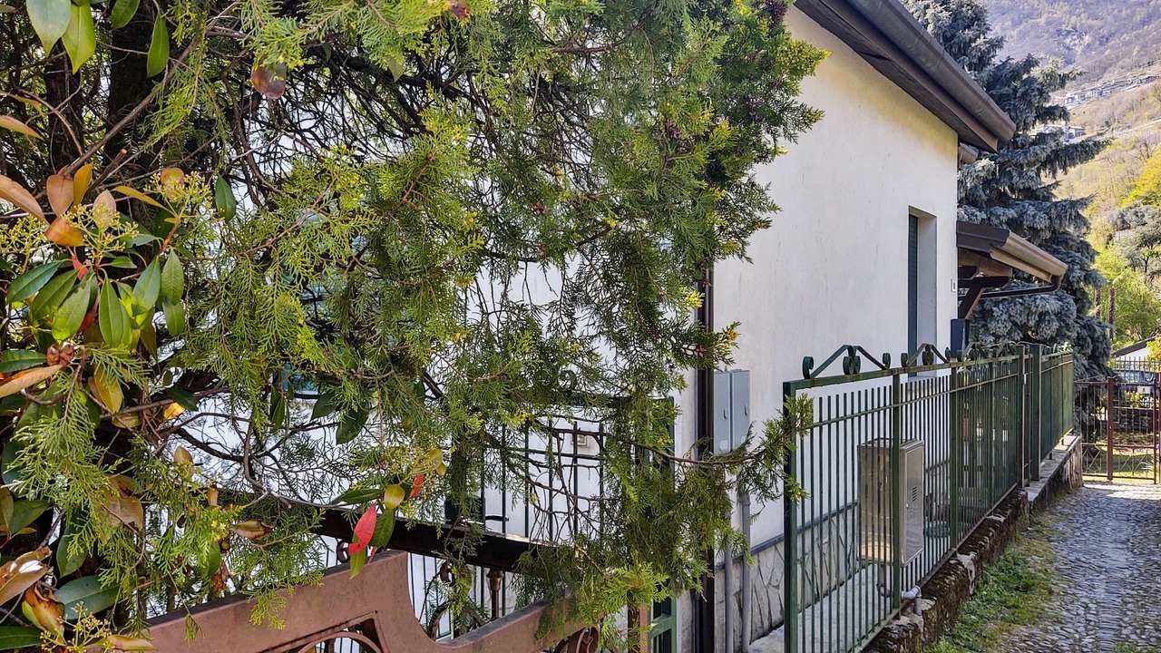 Photo of Others in Gera Lario