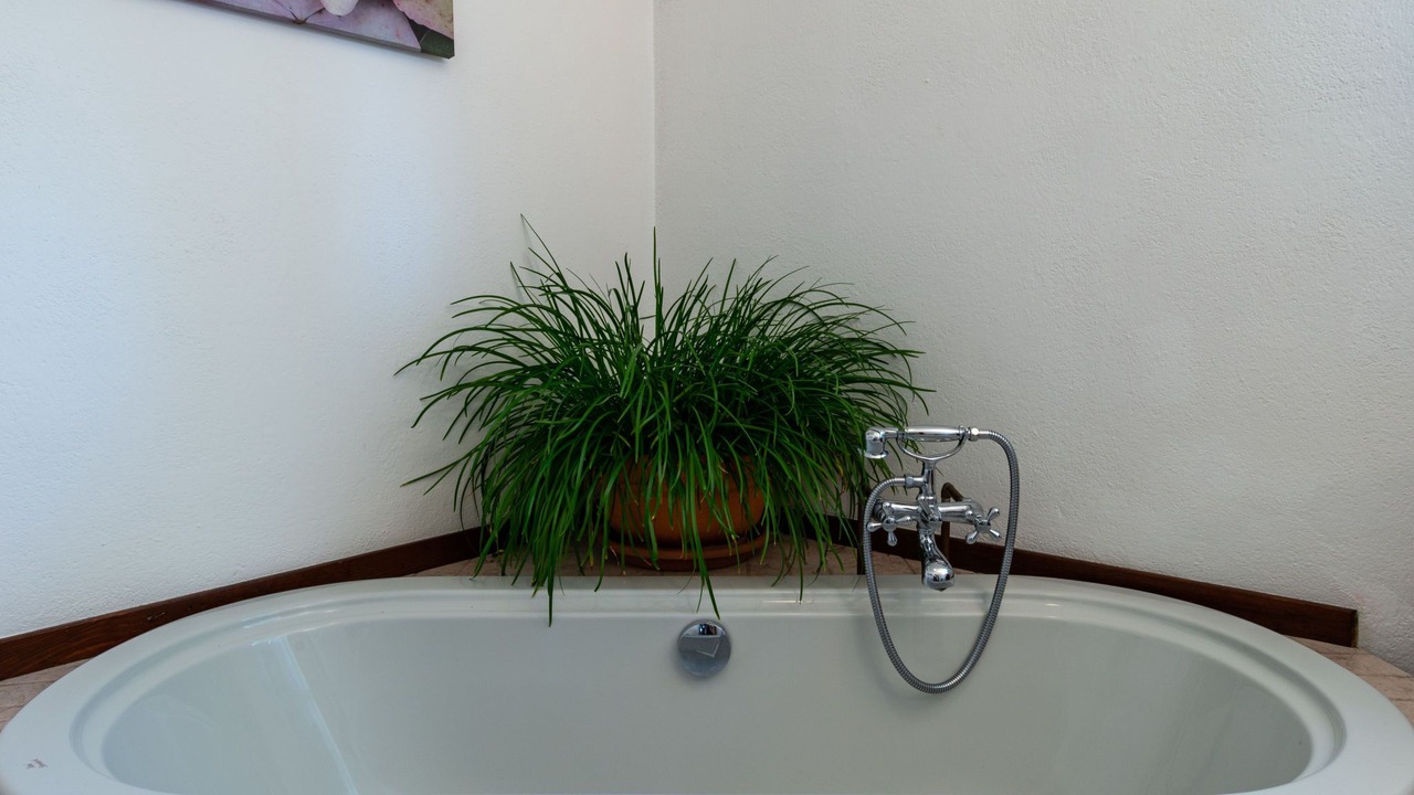 Photo of Bathroom in Delebio
