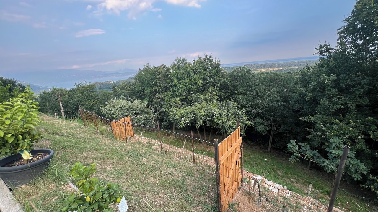 Photo of Outdoor in Roe Volciano