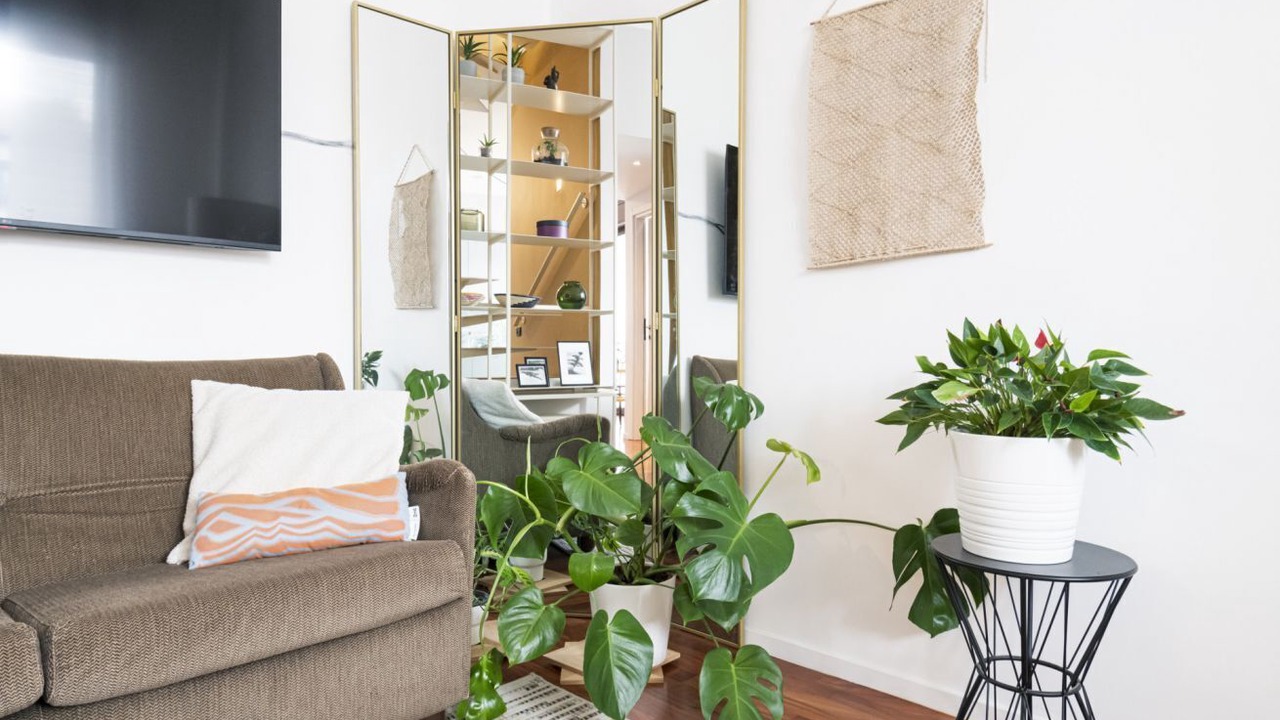 Photo of Livingroom in Isola