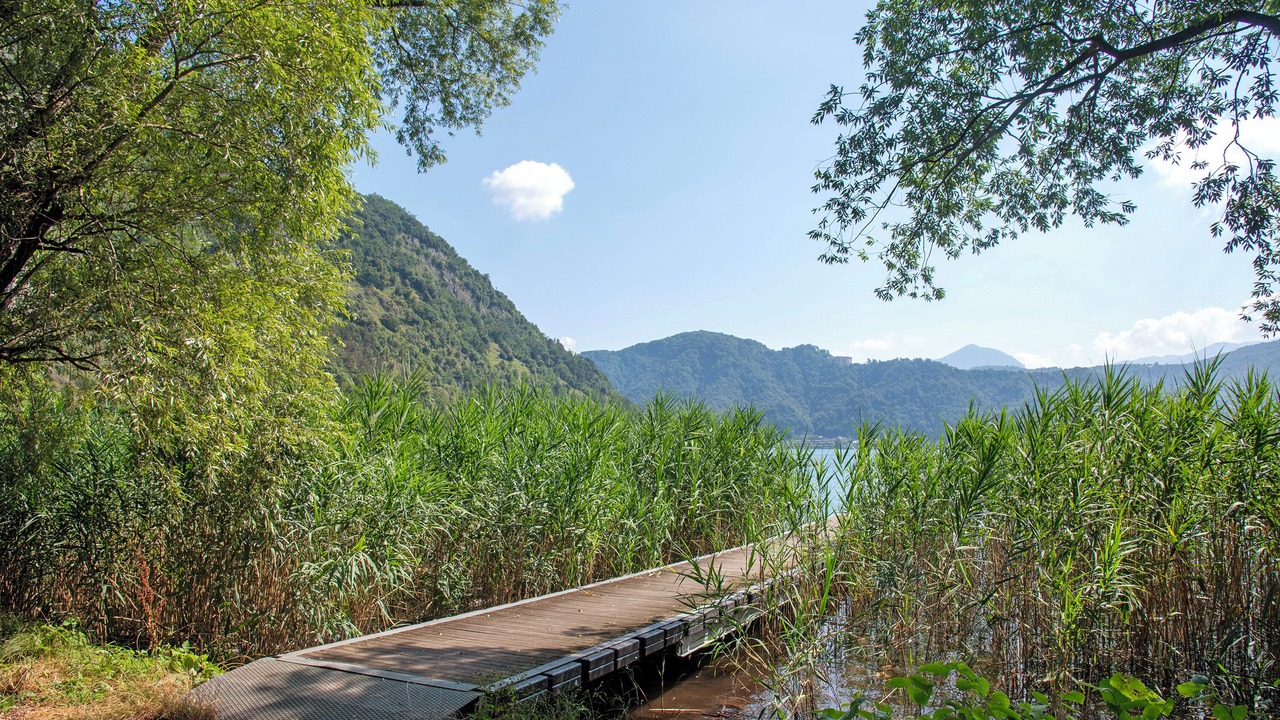 Photo of Others in Lavena Ponte Tresa