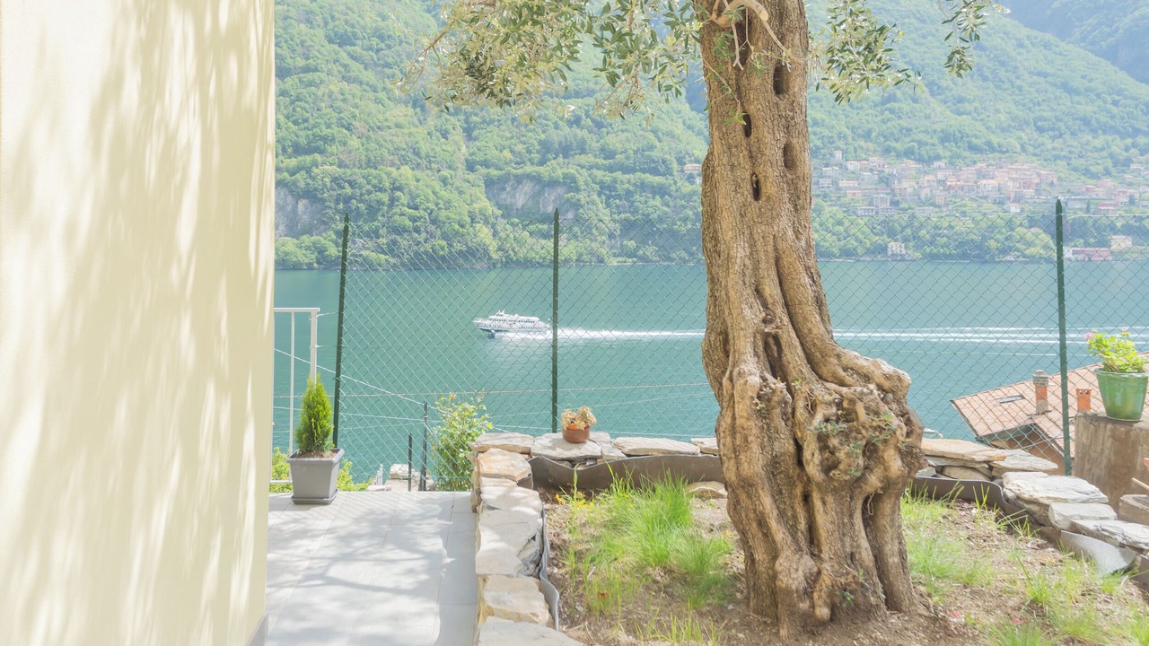 Photo of Outdoor in Laglio