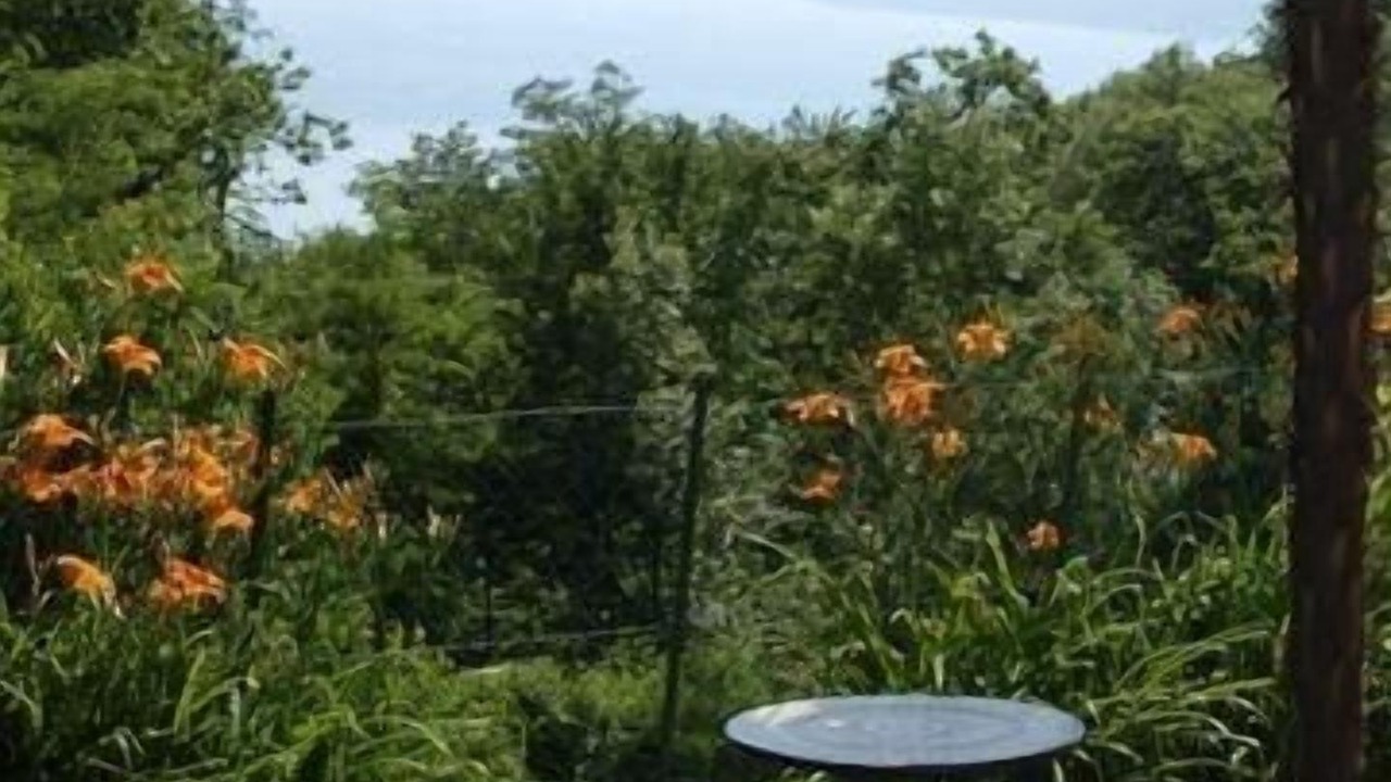 Photo of Outdoor in Colmegna