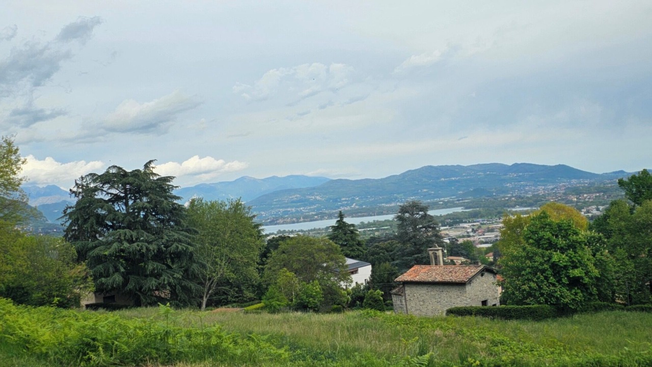 Photo of Outdoor in Erba
