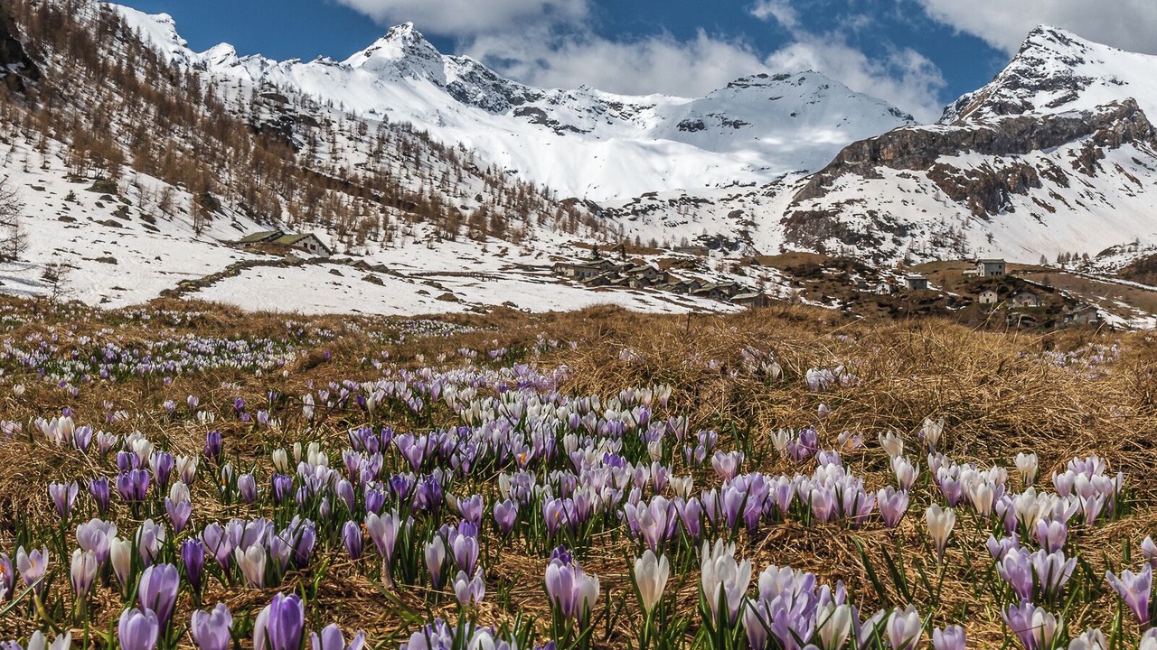 Photo of Outdoor in Chiavenna