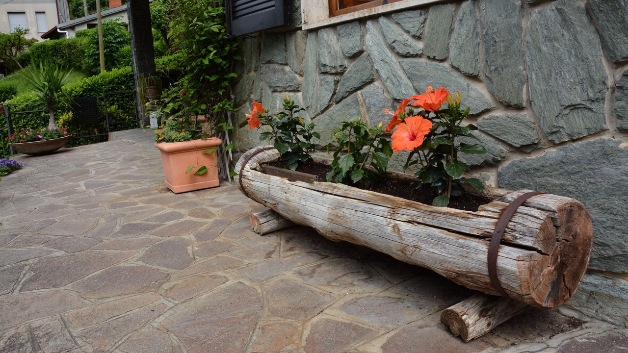 Photo of Outdoor in Viadanica