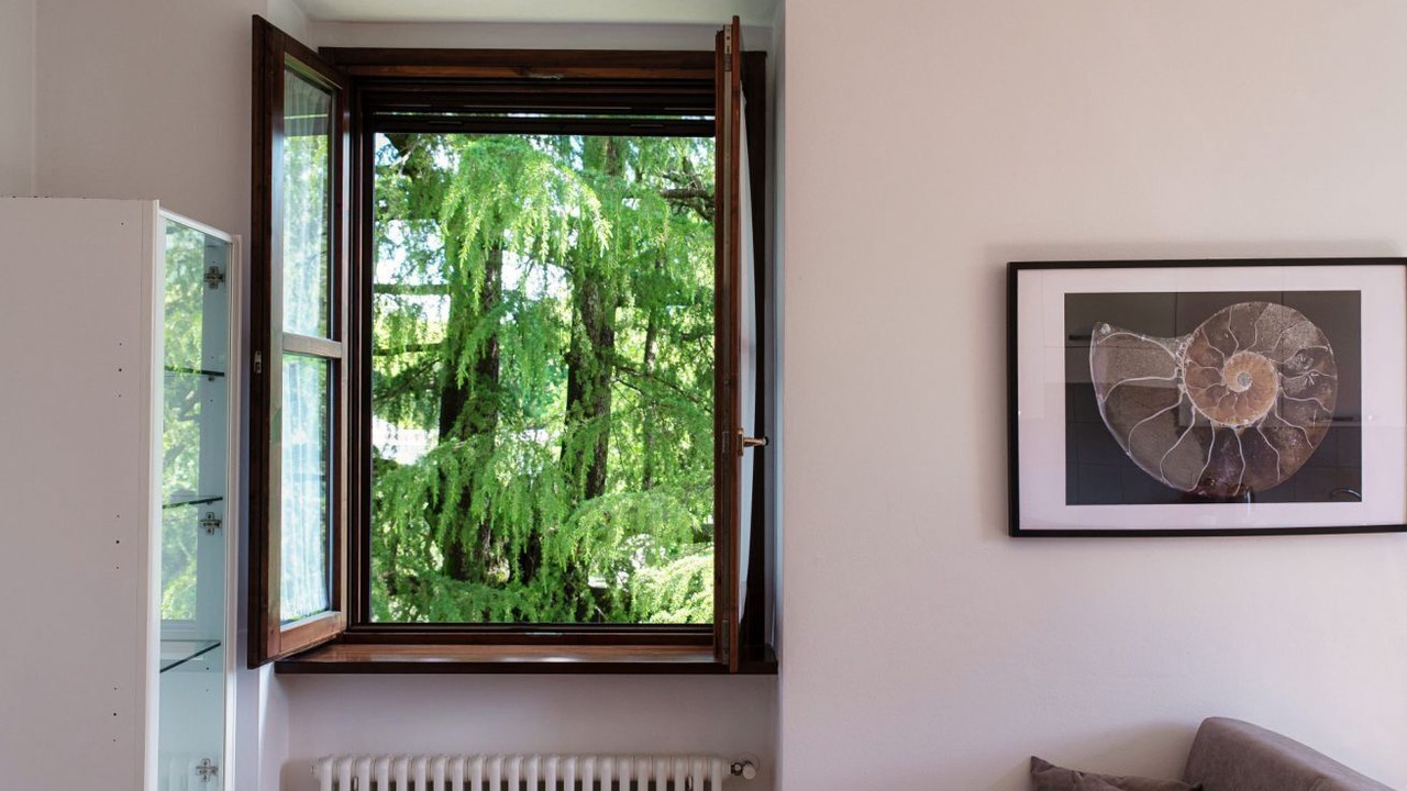 Photo of Livingroom in Como