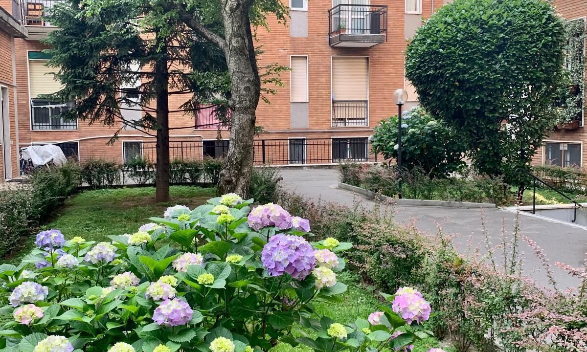 Photo of Outdoor in Dergano
