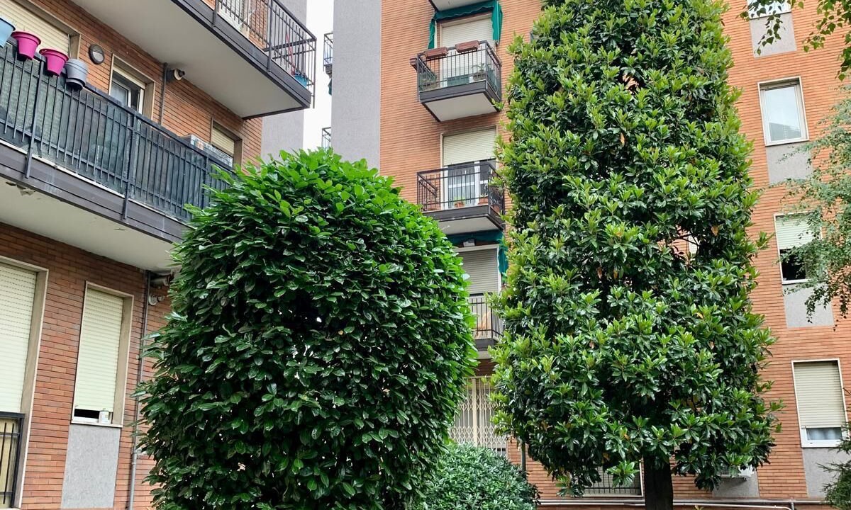 Photo of Outdoor in Dergano