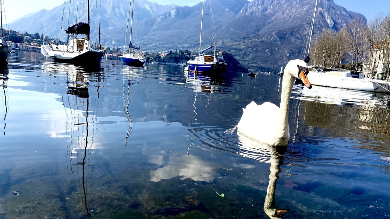 Photo of Others in Lecco