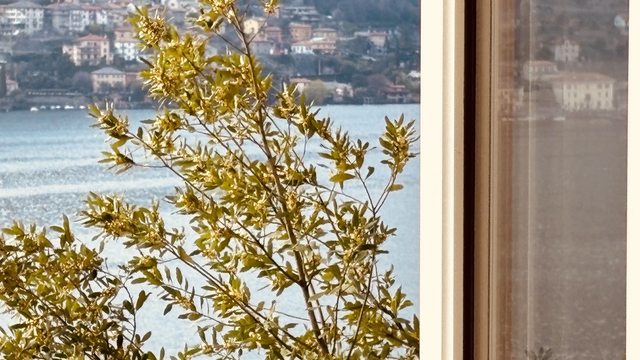 Photo of Others in Pognana Lario