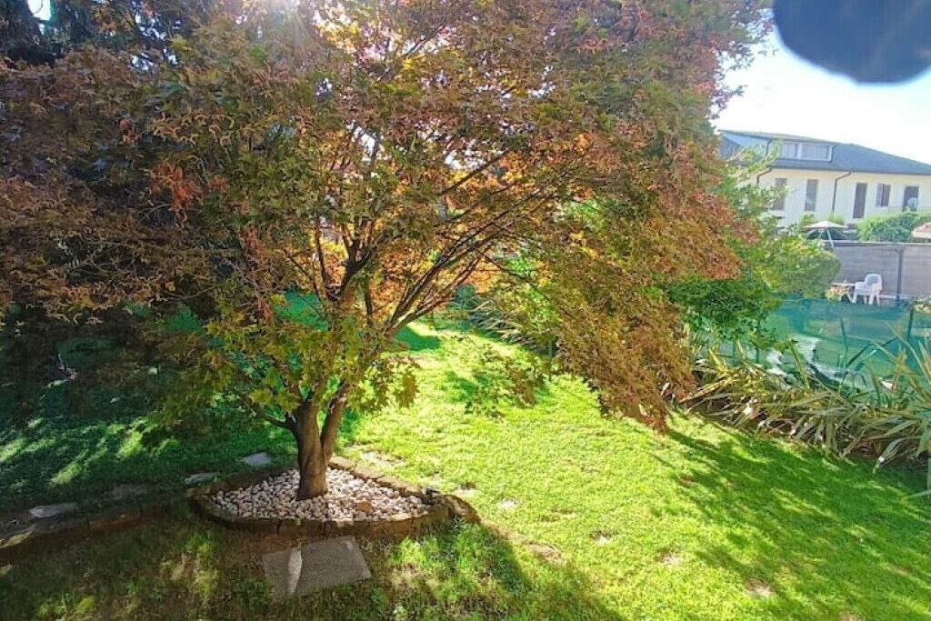 Photo of Outdoor in Cernusco sul Naviglio