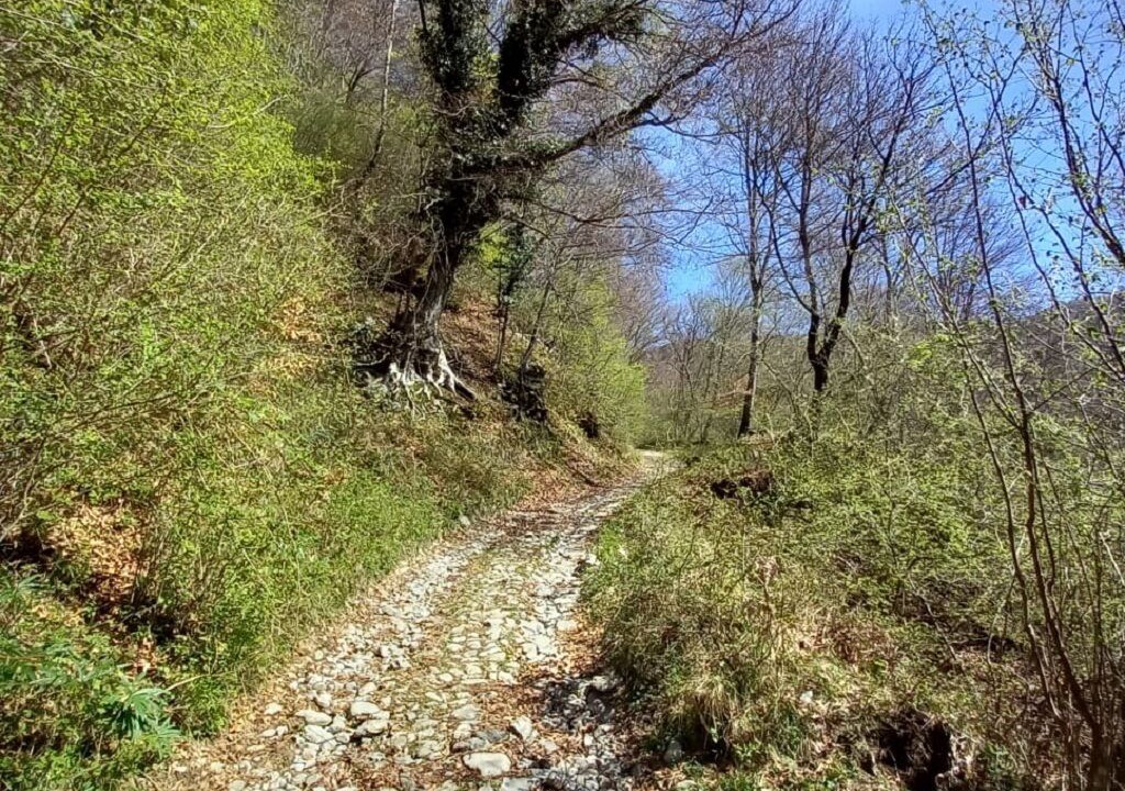 Photo of Outdoor in Centro Valle Intelvi