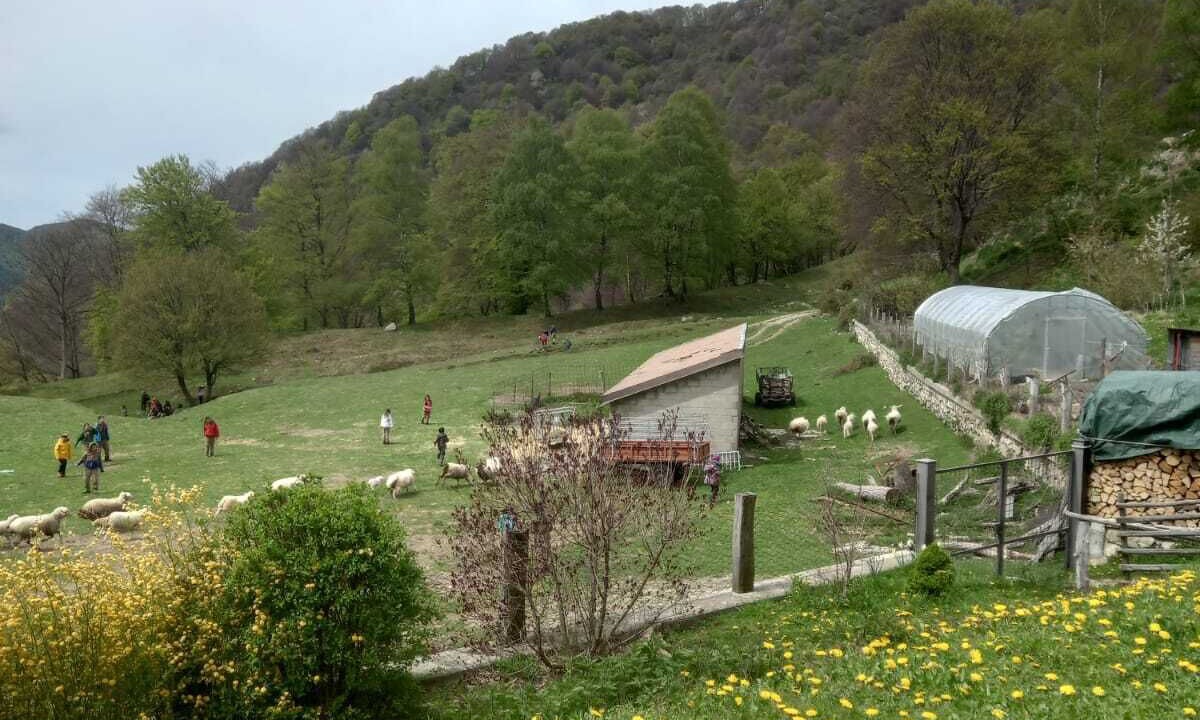 Photo of Outdoor in Centro Valle Intelvi