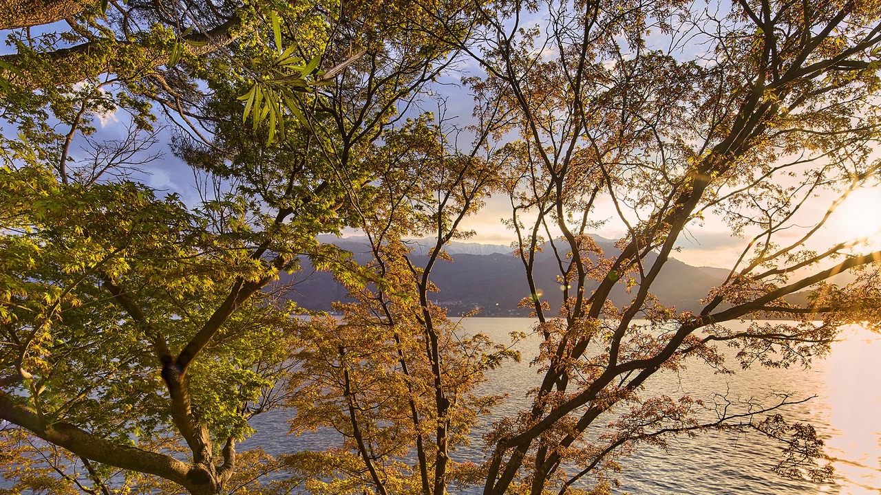 Photo of Others in Varenna