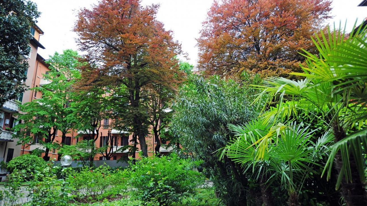 Photo of Outdoor in Washington
