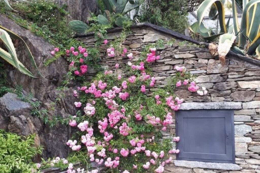 Photo of Outdoor in Maccagno