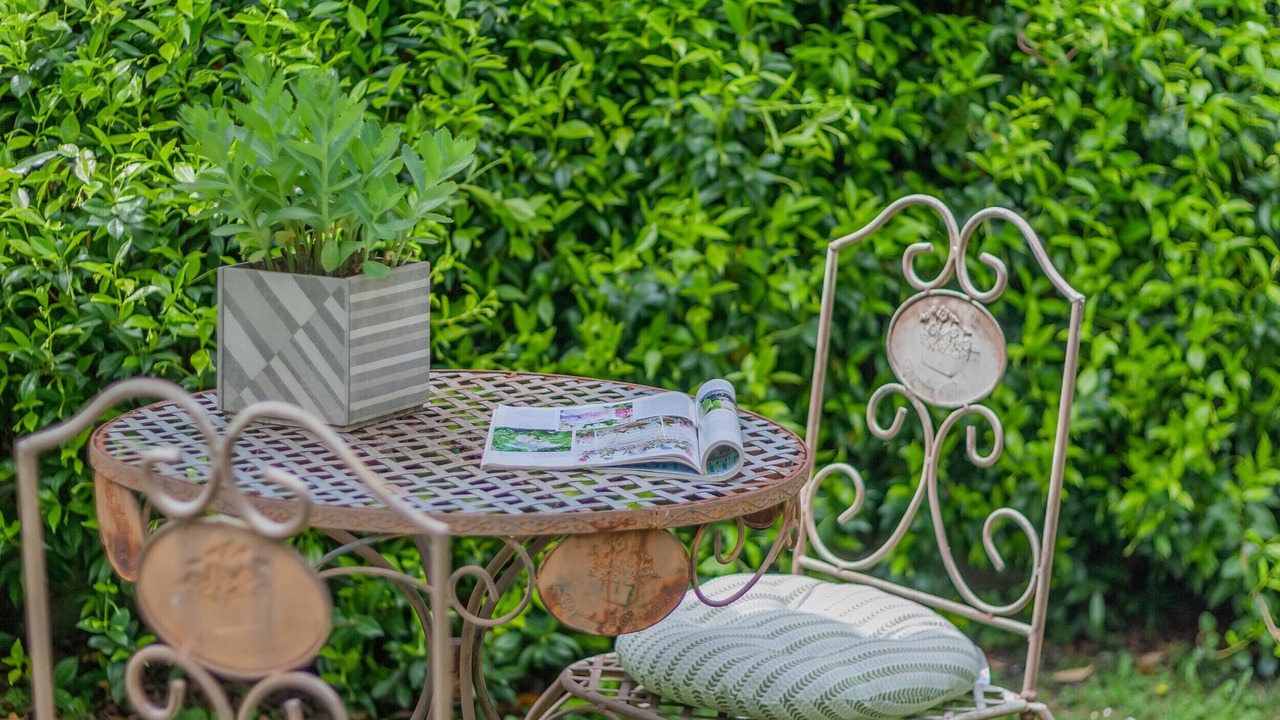 Photo of Outdoor in Lierna