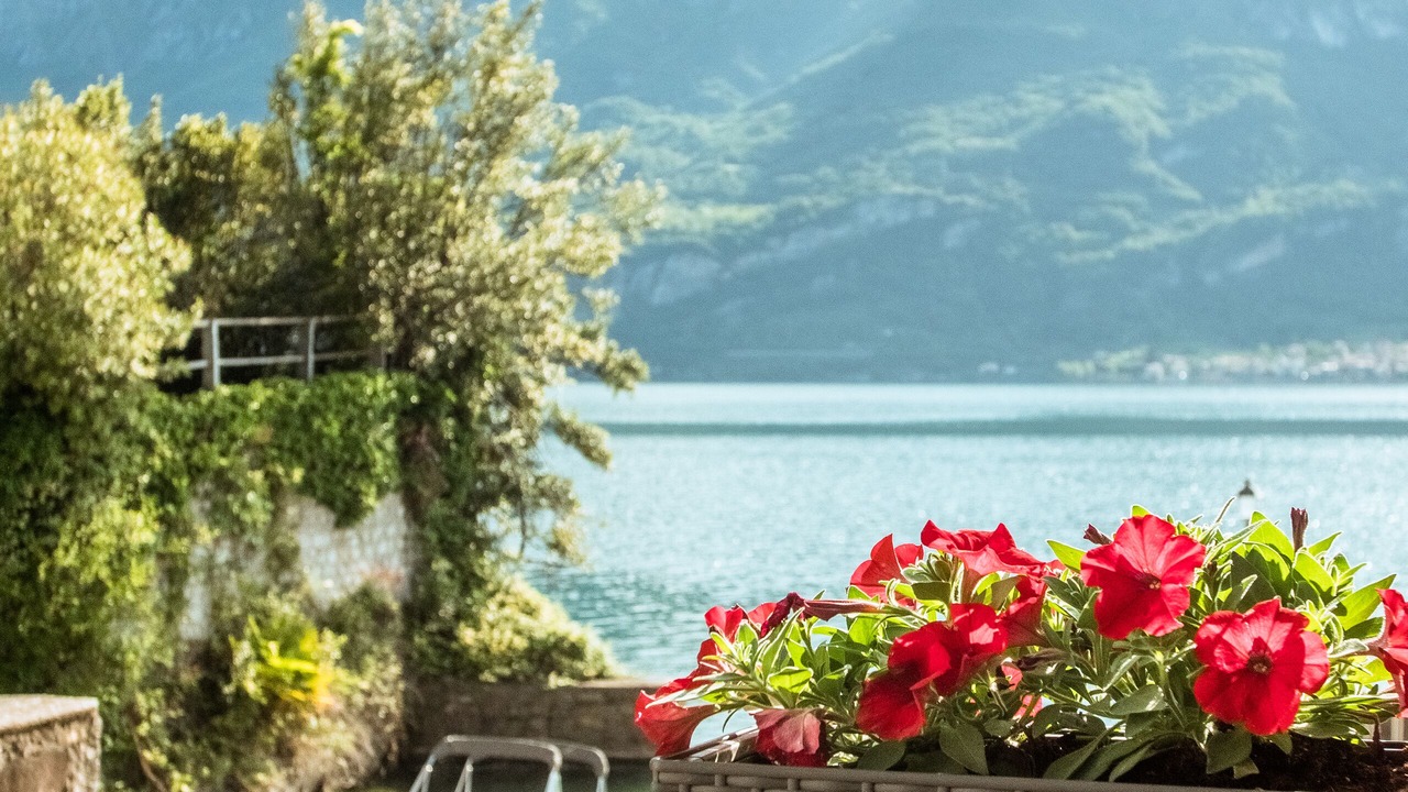 Photo of Patio Balcony in Vassena