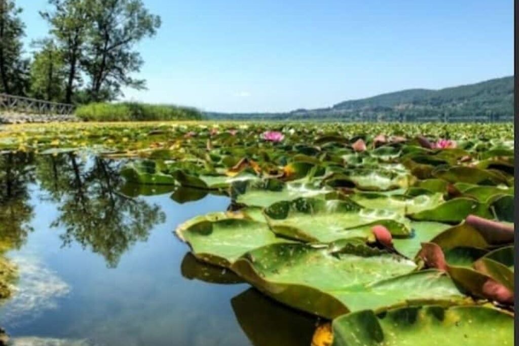 Photo of Outdoor in Mercallo