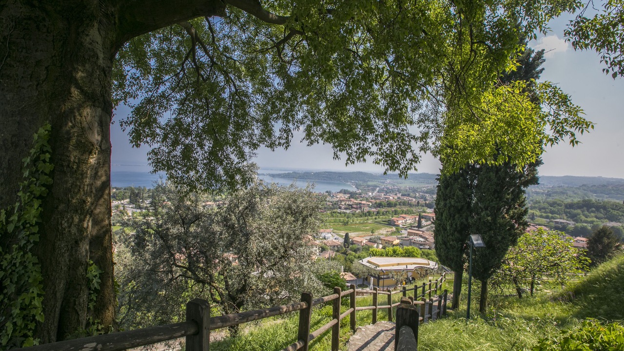 Photo of Others in Rivoltella