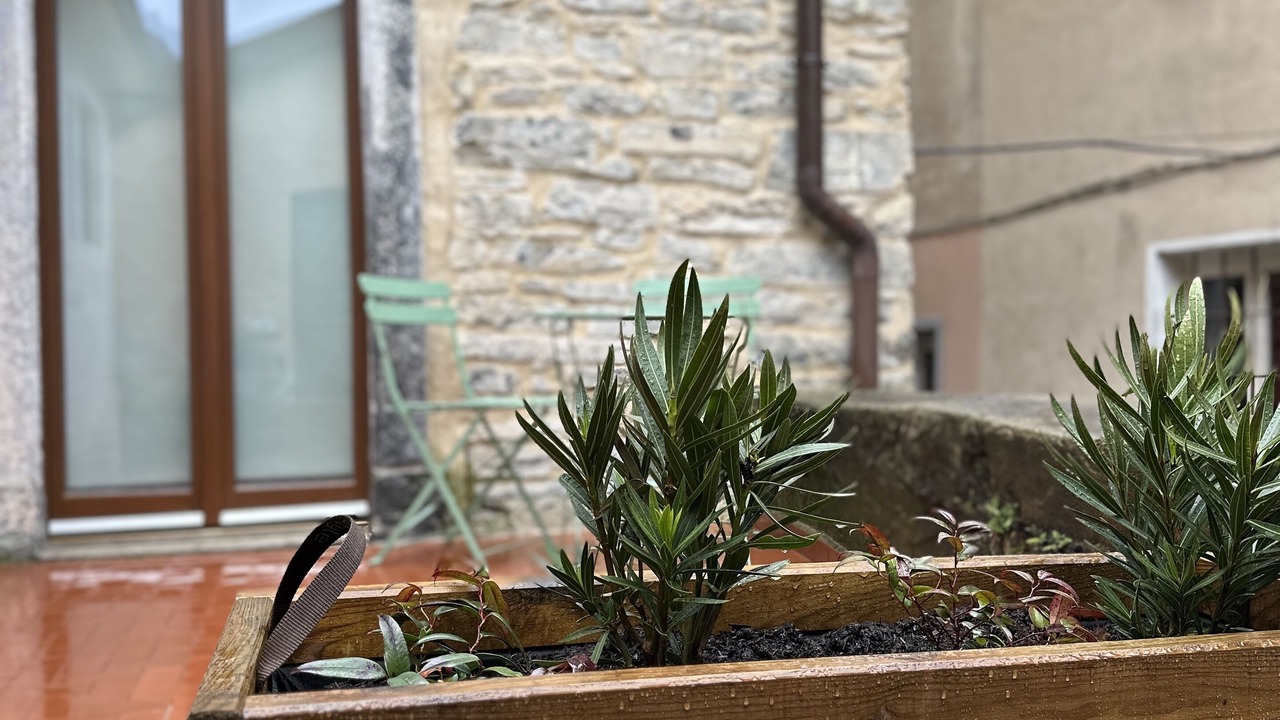 Photo of Outdoor in Pognana Lario