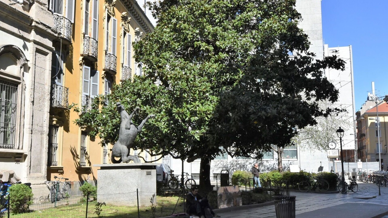 Photo of Others in Borgonuovo