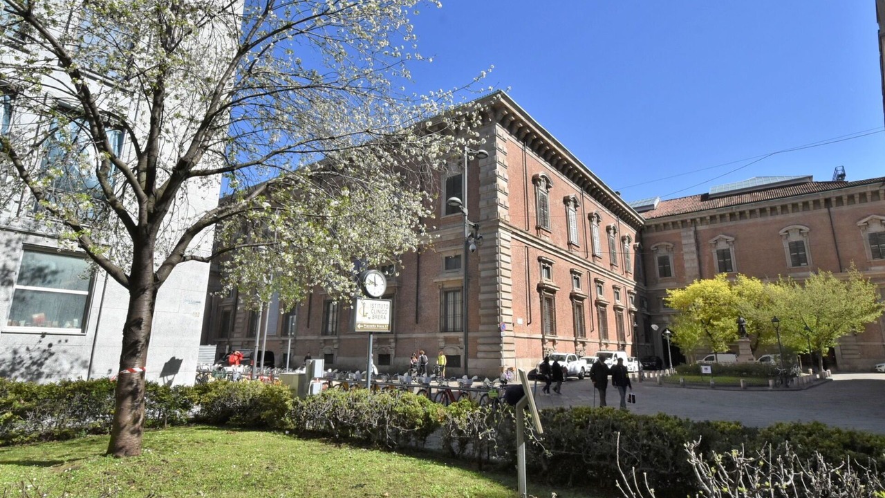 Photo of Others in Borgonuovo