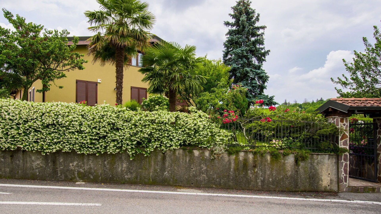 Photo of Others in Villa Guardia