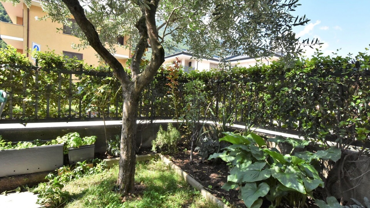 Photo of Outdoor in Cosio Valtellino