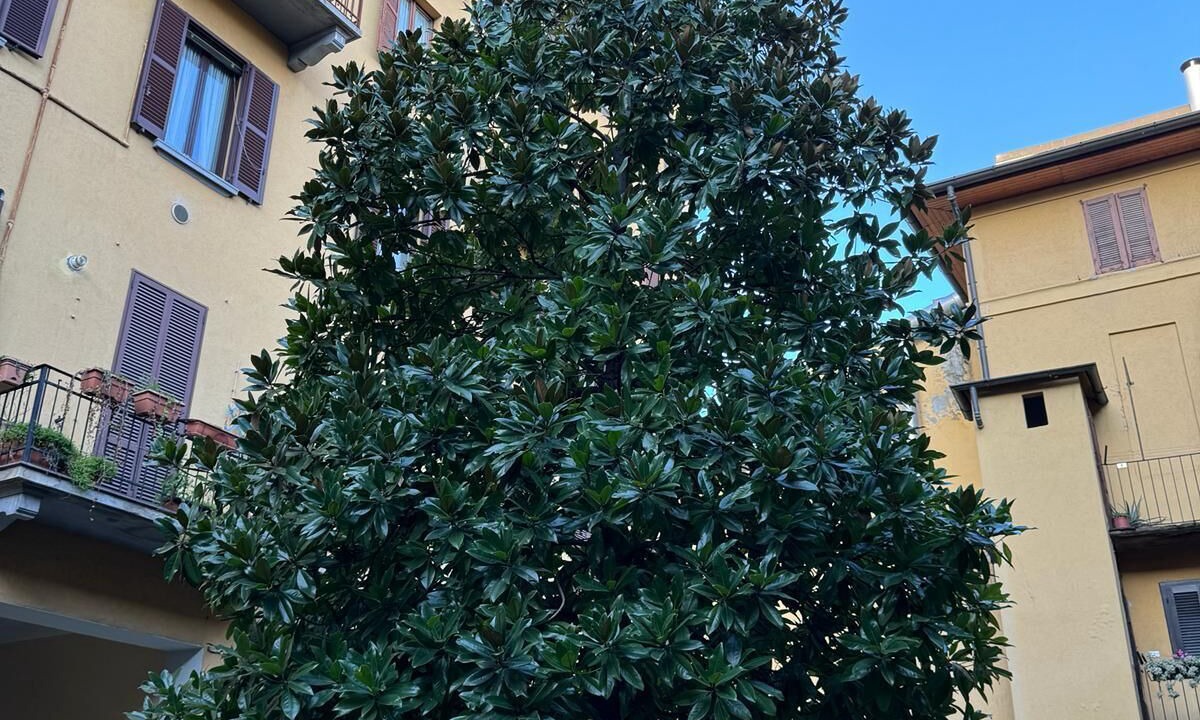 Photo of Outdoor in Guastalla