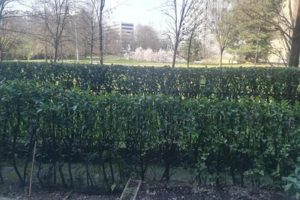 Photo of Outdoor in Quarto Cagnino