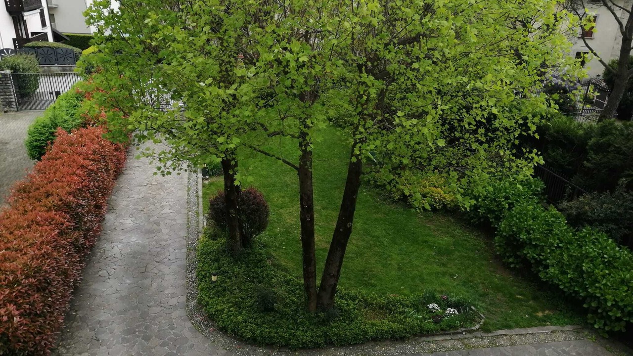 Photo of Outdoor in Carenno