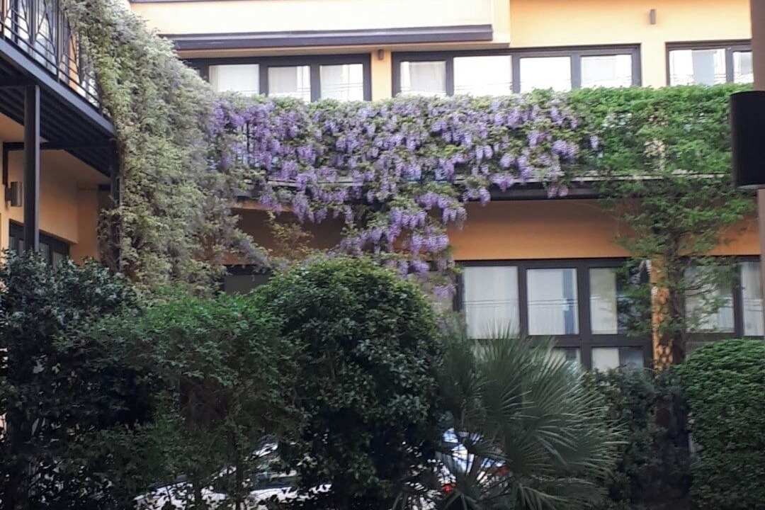 Photo of Outdoor in Certosa