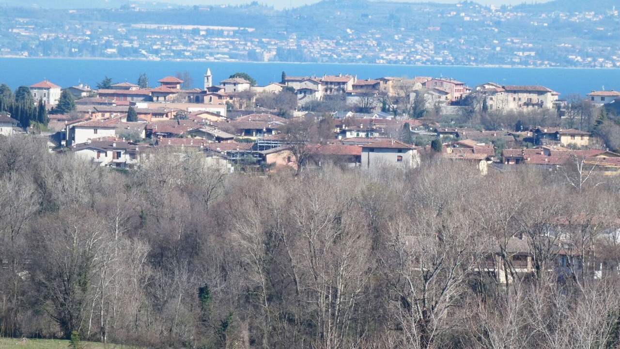 Photo of Others in Picedo