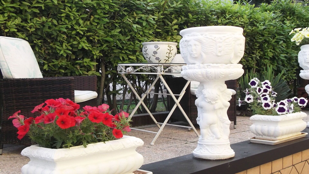 Photo of Outdoor in Picedo