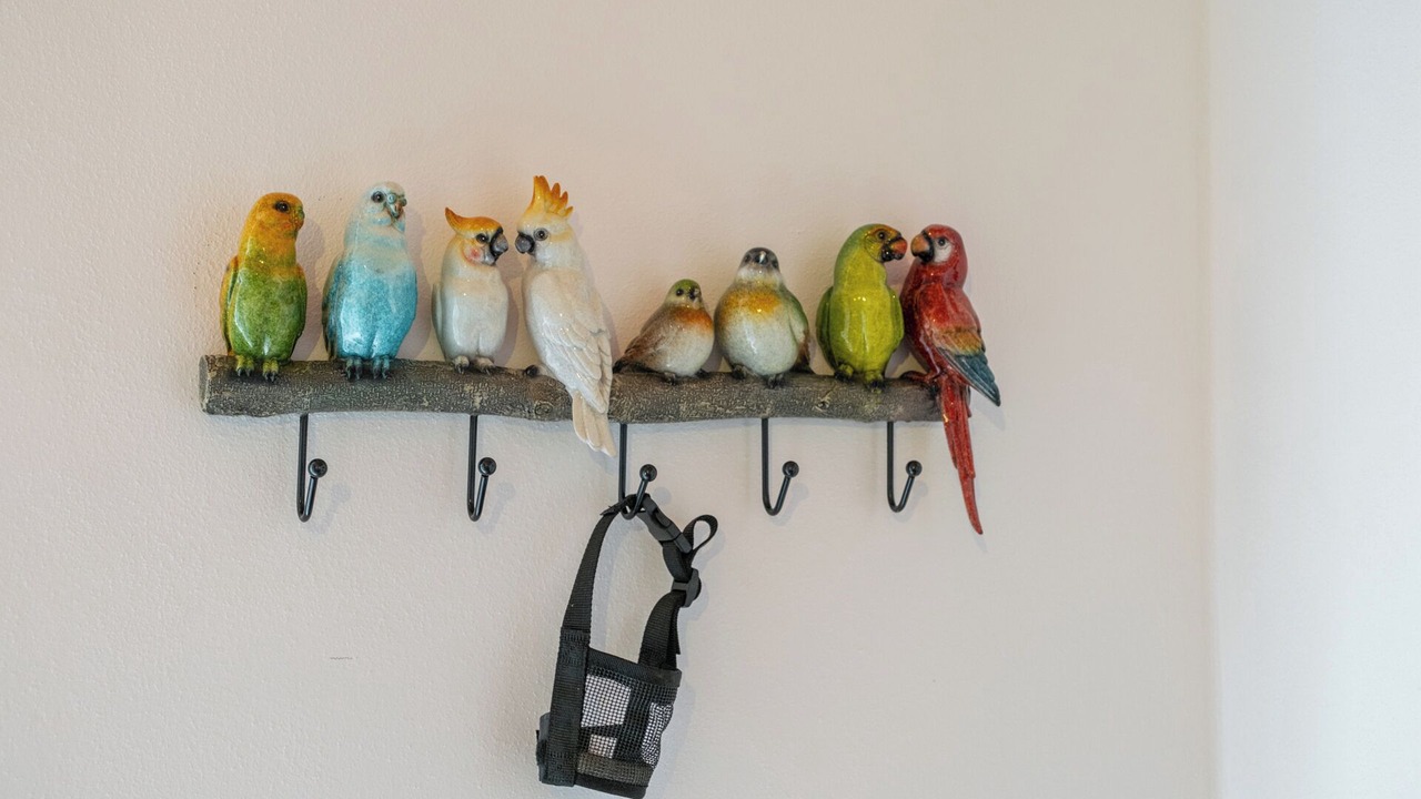 Photo of Others in Iseo