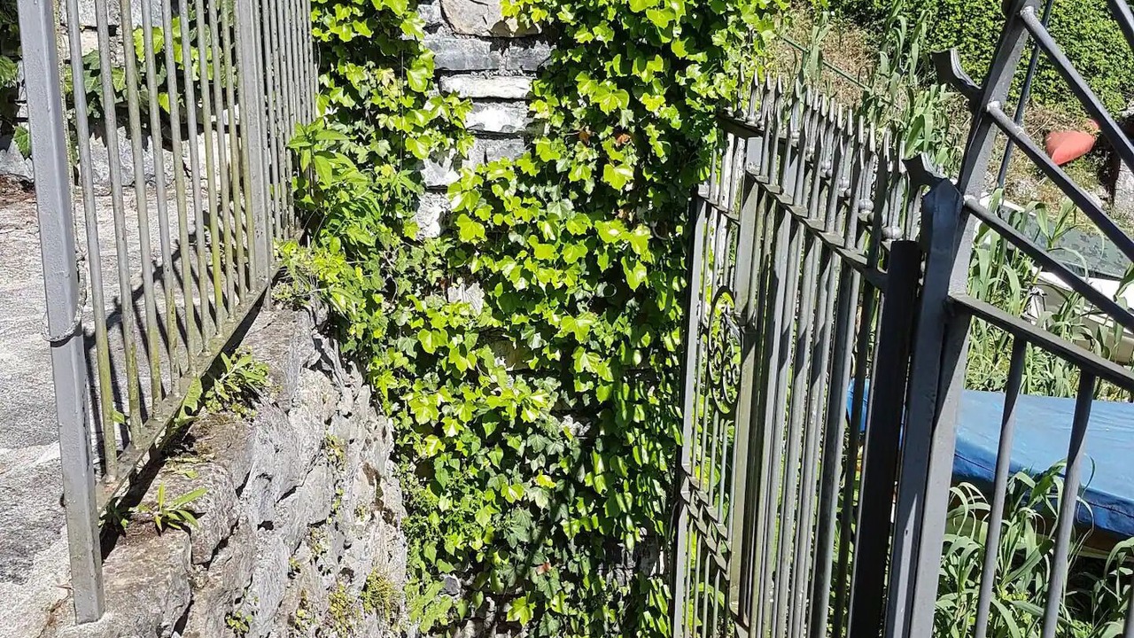 Photo of Outdoor in Limonta