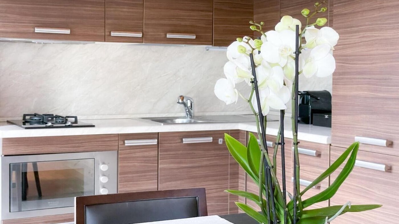 Photo of Kitchen in Laglio