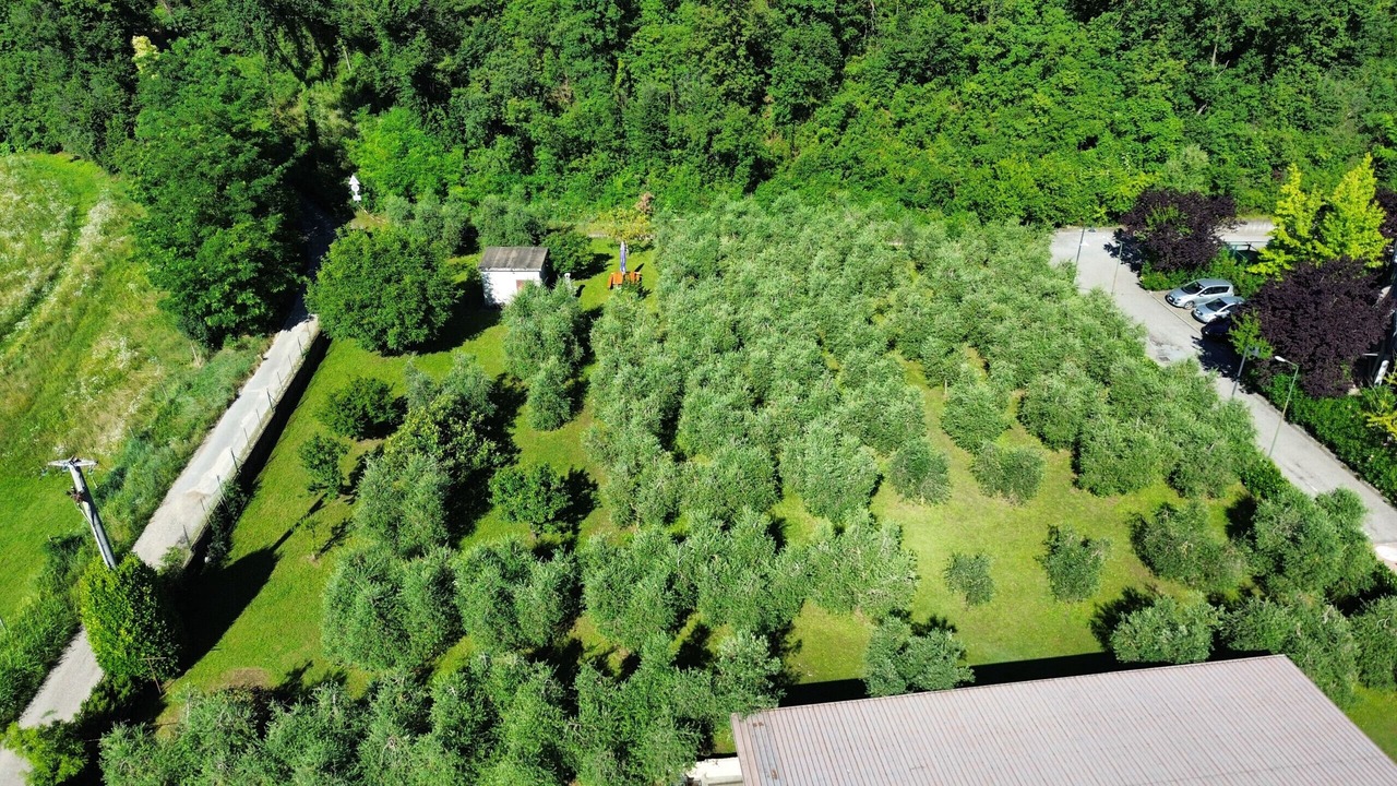 Photo of Outdoor in Raffa