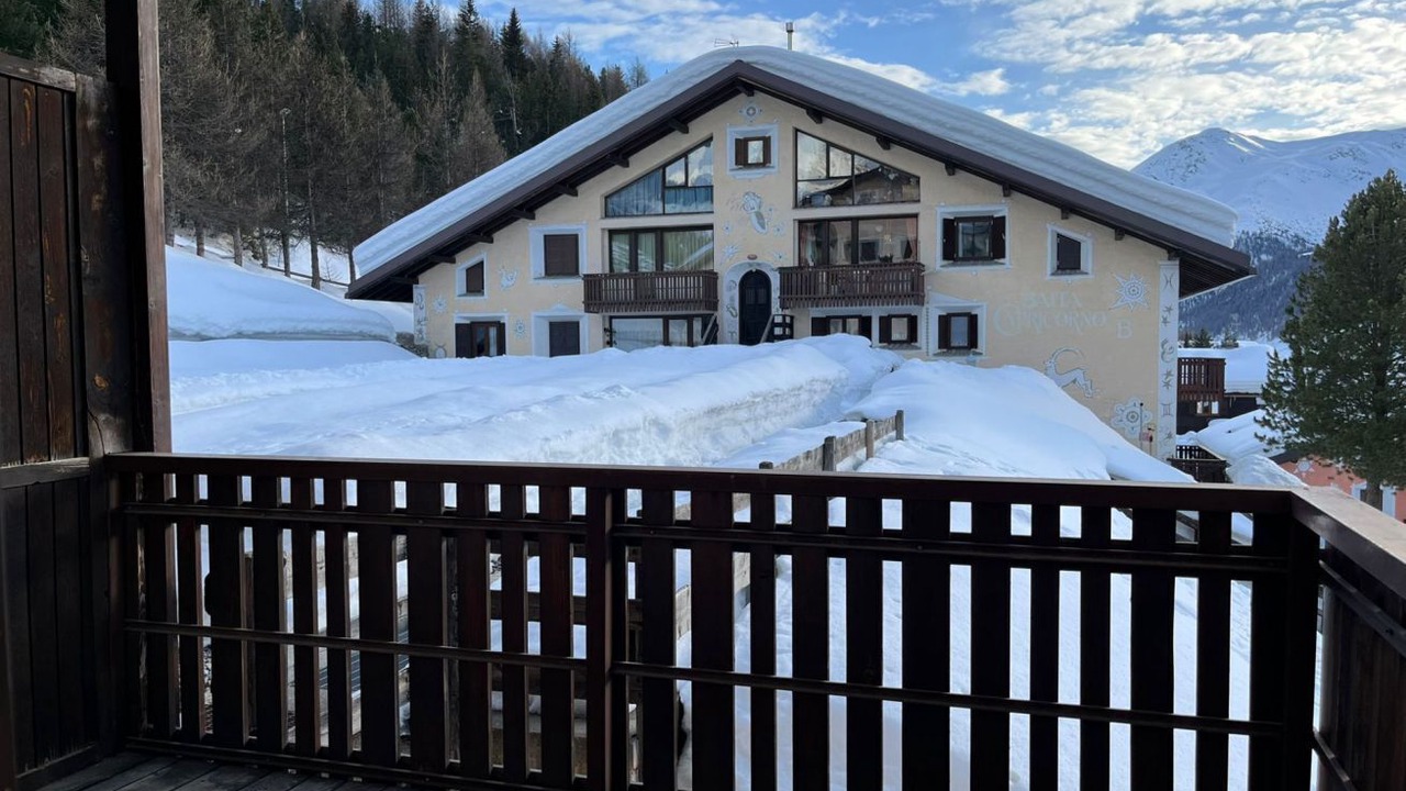 Photo of Outdoor in Teola
